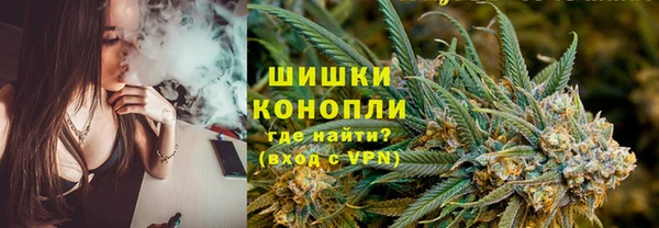 PSILOCYBIN Белокуриха